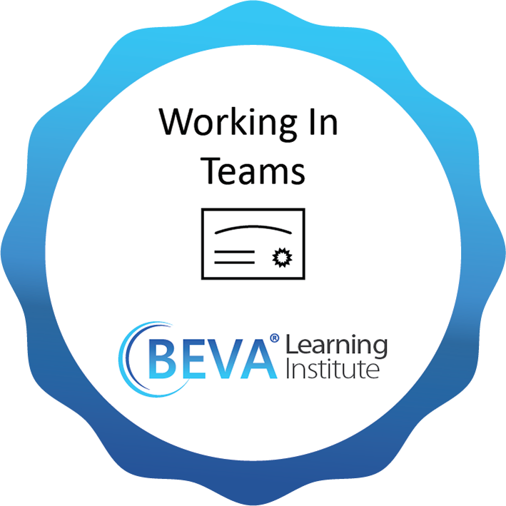 Working in Teams
