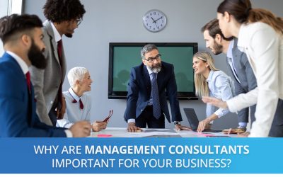 Why Are Management Consultants Important for Your Business?