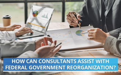 How Can Consultants Assist with Federal Government Reorganization?