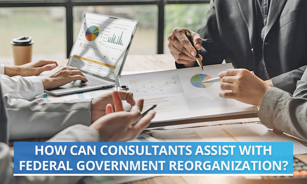How Can Consultants Assist with Federal Government Reorganization?