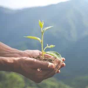 PECB ISO 14001 Environmental Management System