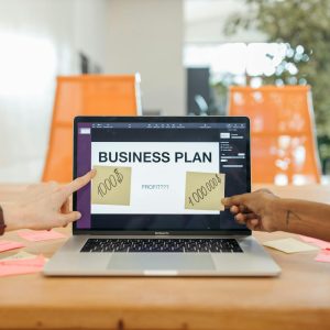 Profitable Innovation: Focus on the Innovation Effort