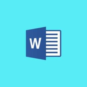 Word 365 Level 1 - Beginners