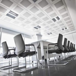 Developing Corporate Behavior course in modern, sunlit conference room with large windows.