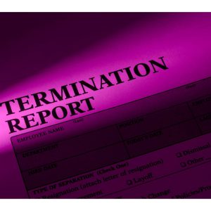 Pink-lit Employee Termination Processes form with bold heading, partial view of visible text fields.