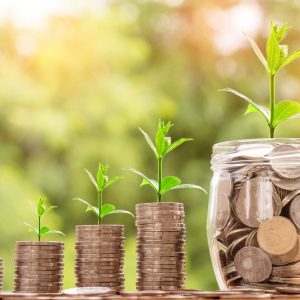 Four coin stacks, jar with plants; symbolizes Lean Process and Six Sigma self-study.